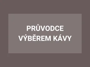 Průvodce výběrem kávy